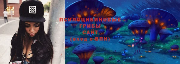 не бодяженный Няндома