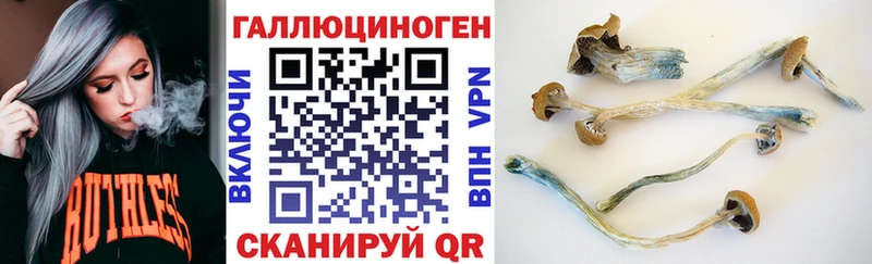 наркота Ладушкин Галлюциногенные грибы Psilocybine cubensis